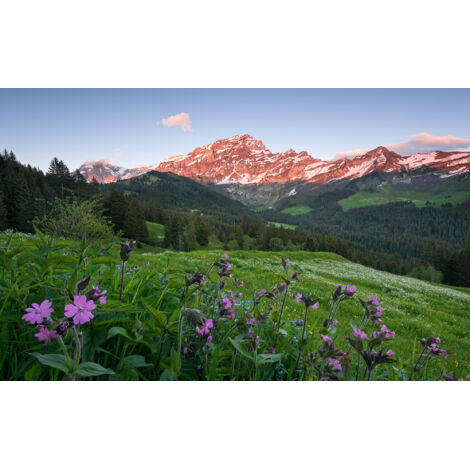 Papier peint panoramique naturel Suisse Pittoresque (1/4)