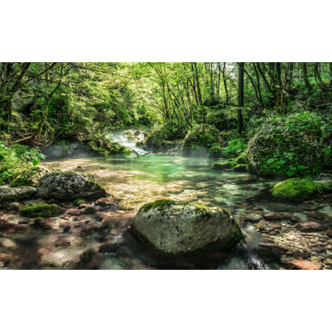Papier peint panoramique naturel Piscine Tranquille (1/4)