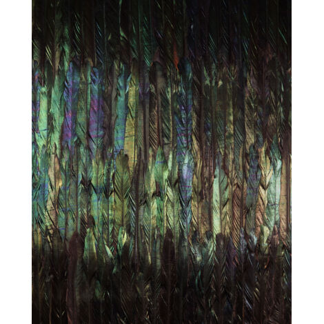Papier peint panoramique moderne Ailes Noires (1/4)