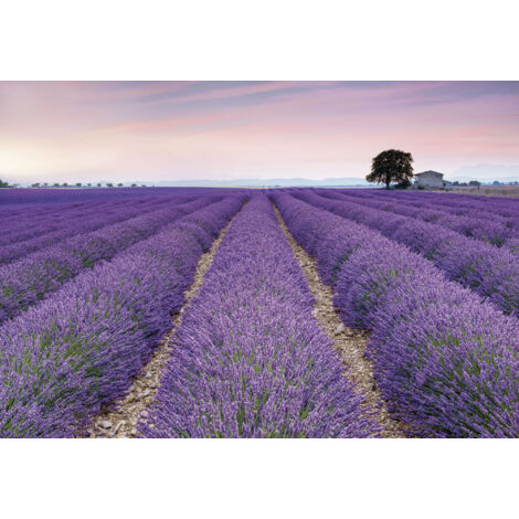 Papier peint panoramique méditerranéen,naturel Provence (1/4)
