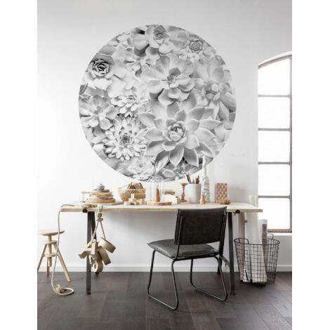 Komar Echeveria 125 x 125 cm, Stickers pour les murs D1-046 (1/3)