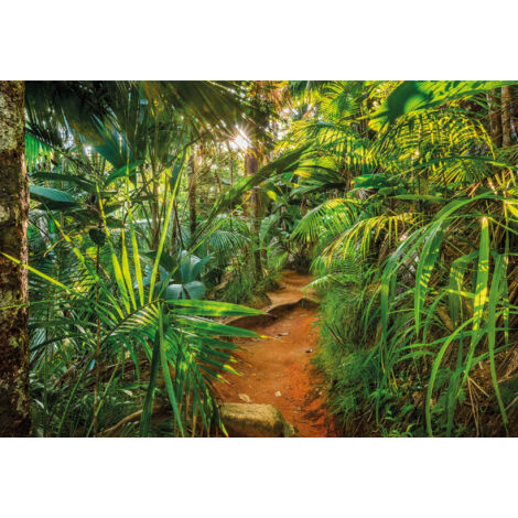 Komar Jungle Trail 368 x 254 cm, Papier peint panoramique 8-989, photomurale sur intissé (1/3)