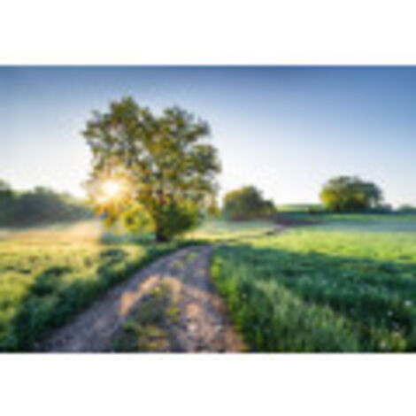 Komar Meadow Trail 368 x 254 cm, Papier peint panoramique 8-134, photomurale sur intissé (1/3)