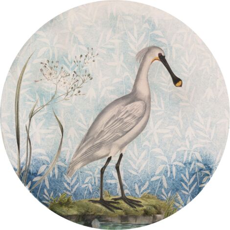 Komar Spoonbill 125 x 125 cm, Stickers pour les murs D1-097 (1/3)