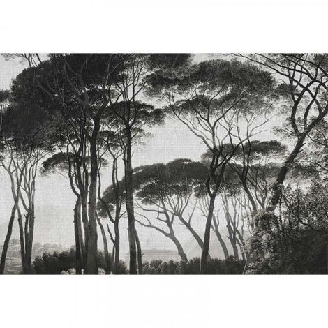 Papier peint panoramique arbre noir & blanc Tapisserie panoramique grise nature effet textile Papier peint panoramique paysage nature pour salon (1/3)