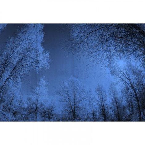Papier peint panoramique idéal chambre Tapisserie panoramique paysage forêt Papier peint panoramique élégant pour salon (1/3)
