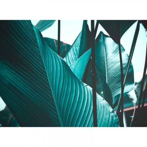 Papier peint panoramique nature pour chambre Tapisserie panoramique originale pour salon Papier peint panoramique design motif feuille (1/4)