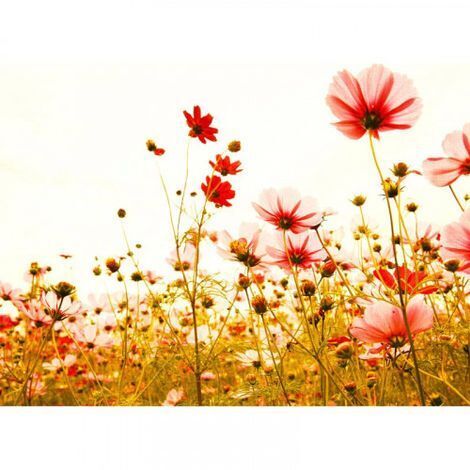 Papier peint panoramique floral original Tapisserie panoramique coquelicot pour chambre Papier peint panoramique nature pour bureau (1/4)