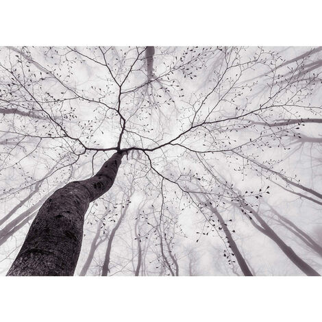 Tableau Arbre Noir et Blanc