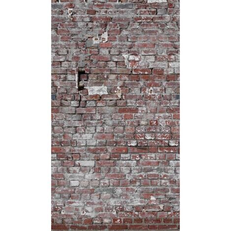 BRICOFLOR Papier Peint The Wall 383371