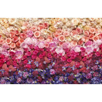 Papier peint panoramique romantique,romantique,vintage & retro Intense