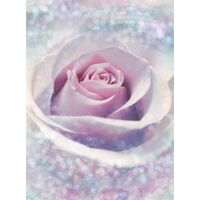 Papier peint panoramique romantique Rose Délicate