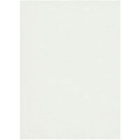 BRICOFLOR Papier Peint moderne gris clair Tapisserie intissée pour couloir, salon & plus Papier Peint texturé gris clair pour cuisine
