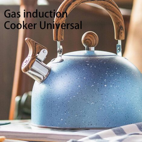 Pfeifender Herd-Wasserkocher 3 Liter Edelstahl – Schillernd Regenbogen, Für Alle Herde