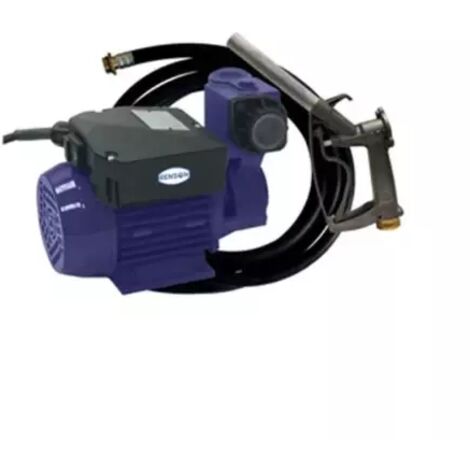 GROUPE DE TRANSFERT 40L/M AUTO AMORCANTE FLEX 4M RENSON (1/3)