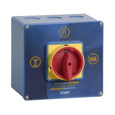 Groupe électrogène monophasé essence 4000 W AVR SDMO