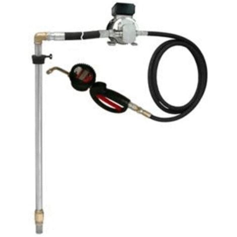 Kit transfert huile fixe 230 V fut 200 litre flexible 4M RENSON (1/2)