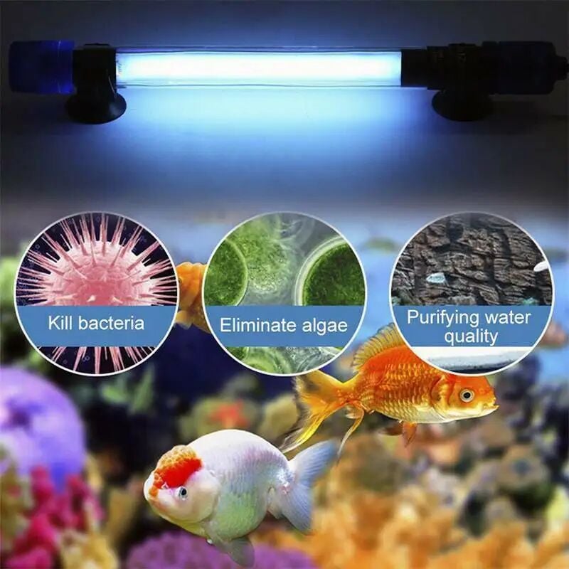 Lampe d'aquarium LED 20W, rampe LED 40cm avec minuterie, dimmable, support  réglable, pour l'éclairage (blanc, bleu, rouge)