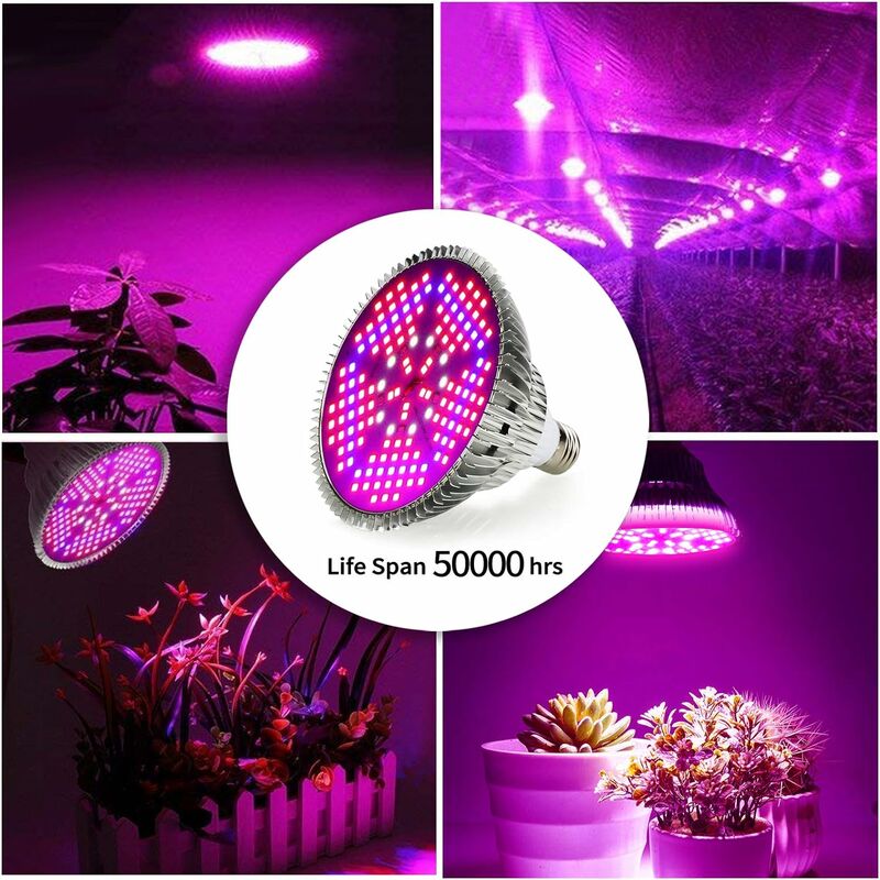 Barre lumineuse LED 0,5m pour la croissance des plantes 10W (pack
