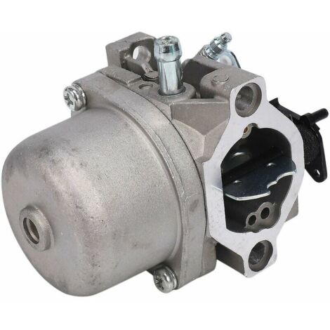 Carburateur Pour Tondeuse à Gazon Briggs&Stratton LMT 5-4993