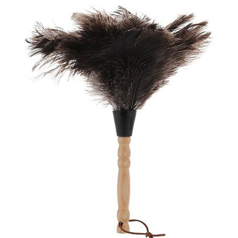 Plumes De Dinde Sauvage Merriam - Queue Secondaire Multicolore - Pour Arts Et Artisanat - TBUN3