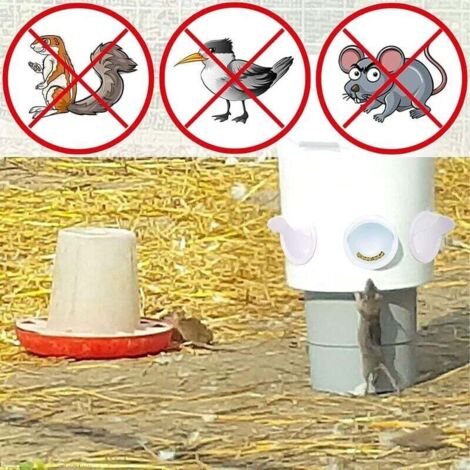 Mangeoire à Poulet Automatique Sans Déchets - 9kg (20 Lb) - Acier Inoxydable - Fenêtre Visuelle - Couvercle étanche