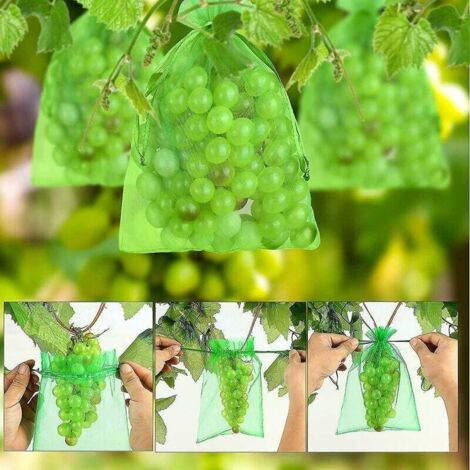 Lot De 100 Sacs De Protection Fruits En Organza 15x20 Cm Avec Cordons - Protection Réutilisable Contre Oiseaux Insectes