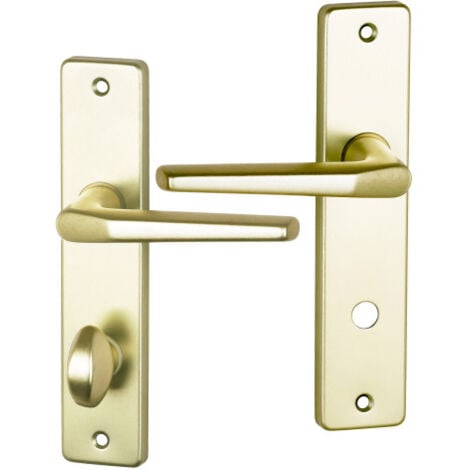 Ouvre&Déco - 2 poignées de porte CHAMONIX verrou condamnation, aluminium F2 entraxe 165 mm