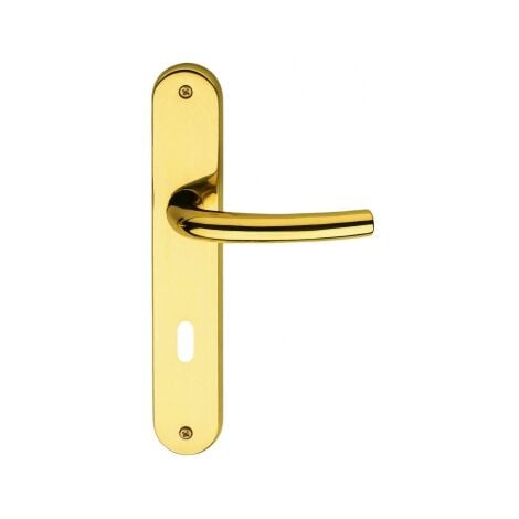 Magnifiques poignées de porte or poli design italien chez