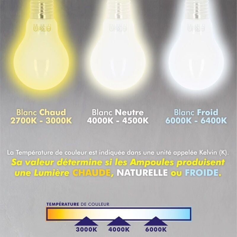 Basics Lot de 2 petites ampoules LED rondes P45 Culot Edison à vis  E14, 5.5 W (équivalent 40 W), Blanc chaud, Intensité non variable :  : Luminaires et Éclairage