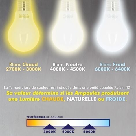 Ampoule LED E27 10W A60 équivalent à 100W - Blanc Naturel 4000K