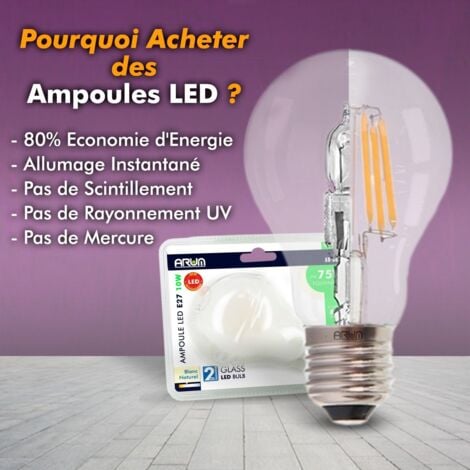 Basics Ampoule LED E27 A60 avec culot à vis, 14W (équivalent ampoule  incandescente 100W), blanc chaud, dimmable - Lot de 2