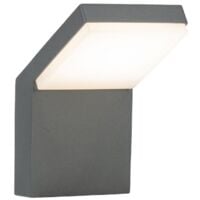 Applique murale LED Extérieure DAYTONA 12W Eq 120W IP65  Température de Couleur: Blanc neutre 4000K