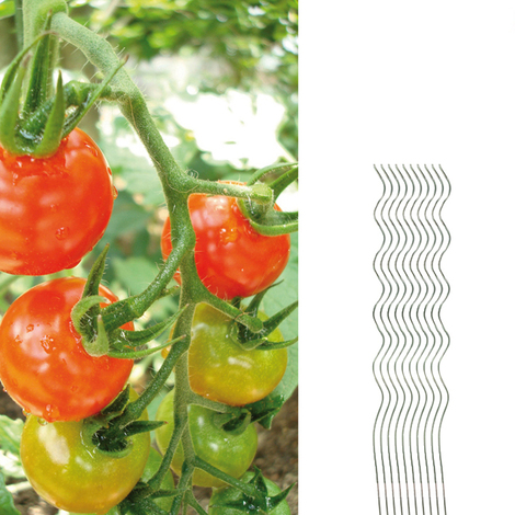 10 x Tomatenstab Tomatenspiralstab 110cmTomaten Stab Rankhilfe Garten Stahl 