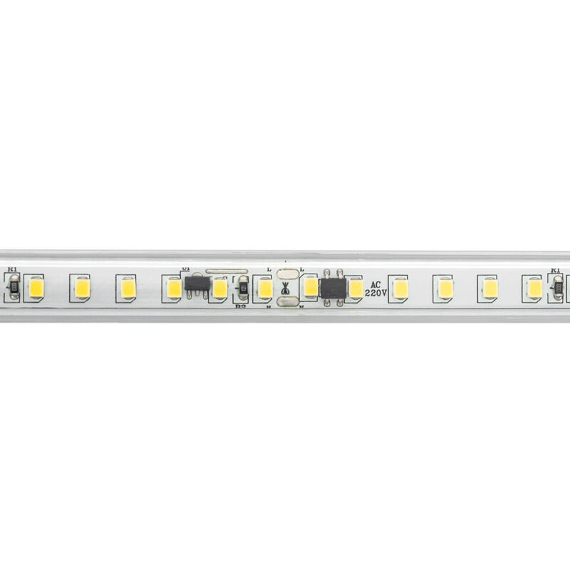 Bobina Striscia LED Regolabile Solid 220V AC 120 LED/m 50m Bianco Freddo  IP65 su Misura Larghezza 14mm Taglio ad ogni 10 cm Bianco Freddo 6000K -  6500K 50 m120º