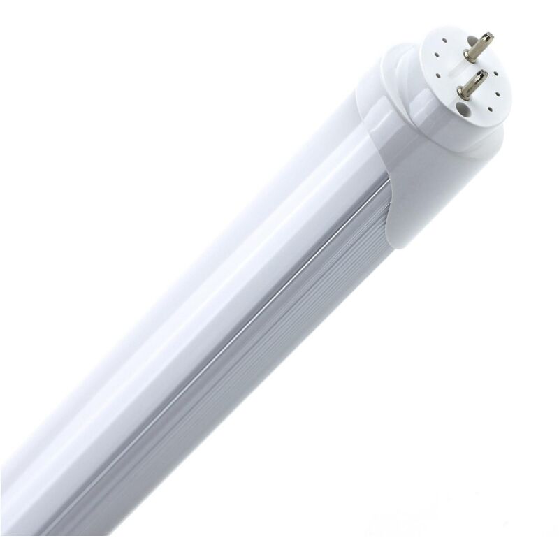 Trade Shop - Tubo Neon A Led T8 10 W Watt 1300 Lmn Con Copertura Opaca Da  60 Cm Luce Bianca Bianco Caldo 