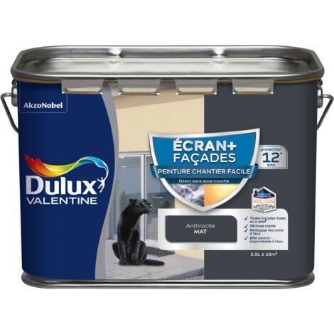Peinture Façade Ecran+ Chantier Facile - direct sans sous-couche - Mat Gris Anthracite RAL7016 2,5 L - Dulux Valentine