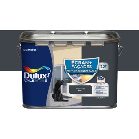 Peinture Façade Ecran+ Chantier Facile - direct sans sous-couche - Mat Gris Anthracite RAL7016 2,5 L - Dulux Valentine