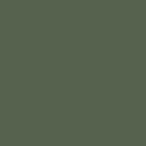 Testeur de couleur Vert Tropical 30 mL - Peinture Dulux Valentine
