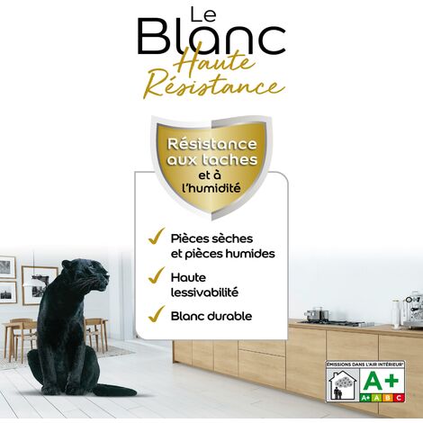 Peinture Blanche Haute Resistance Dulux Valentine Velours Blanc 2,5 L