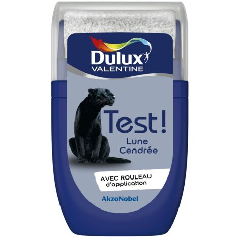 Testeur couleur Lune Cendrée 30 mL - Peinture Dulux Valentine (1/5)