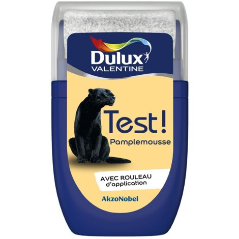 Testeur couleur Pamplemousse 30 mL - Peinture Dulux Valentine