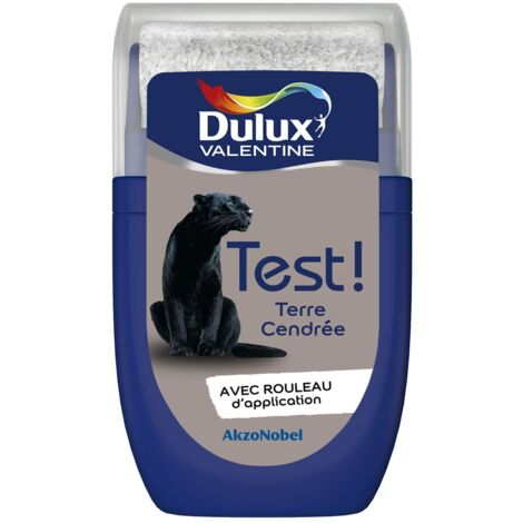 Dulux Valentine – Testeur couleur Terre Cendrée 30 mL – Aspect satin – Lessivable avec rouleau intégré – Peinture intérieure acrylique (1/5)