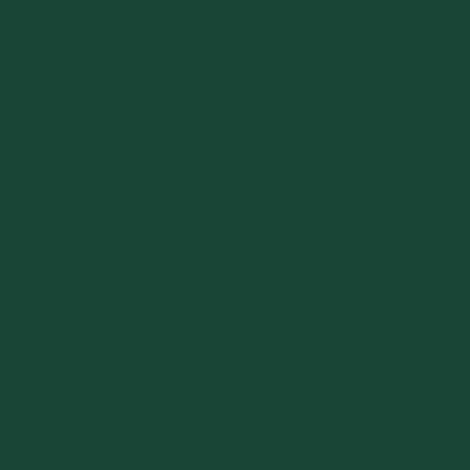 ECRAN+ MULTI-SUPPORTS EXTERIEURE - Peinture en Phase Aqueuse Éxtérieur - Satin Vert Pays Basque 2 L - Dulux Valentine
