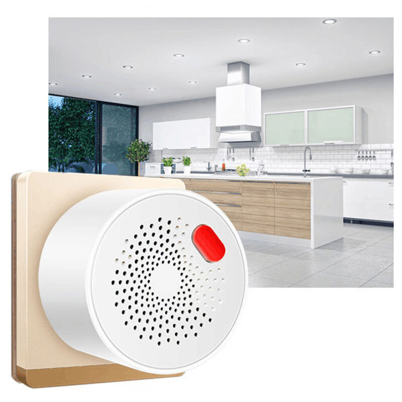 Détecteur de gaz combustible enfichable d'alarme de gaz naturel Tuya WiFi APP de contrôle prise en charge de la détection de gaz inflammables/méthane/propane/butane/GPL/GNL pour ca