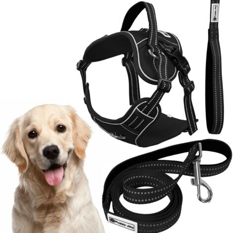 Pet Leash Collar Leash Harness Set Premium Leash Collar Sets: Comfort Safety For Every Adventure