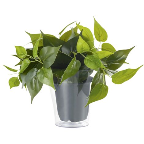 Pianta Finta con Vaso Trasparente Arredo Casa Interno Plant GD Trio