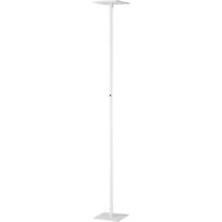 Ideal - Piantana a Led Bianca orientabile in metallo H.180 cm Fabas Luce - Luce led 35W integrata CCT (3000K 4000K 5000K 6000K)