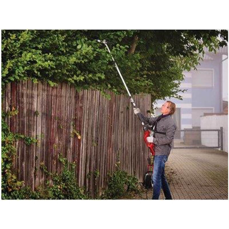 Spazzole Carbone Per Tagliasiepi Einhell GC-HH 9048 - Set 2 Pezzi Ricambio Originale - Foto 4