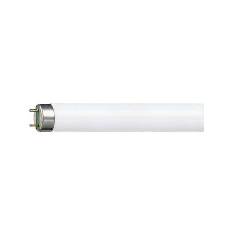 Tube Fluo LED T8 60Cm Osram Ledvance 7.6W